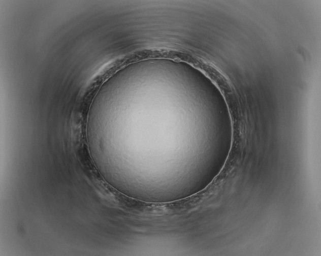 X0000114150968200910151541