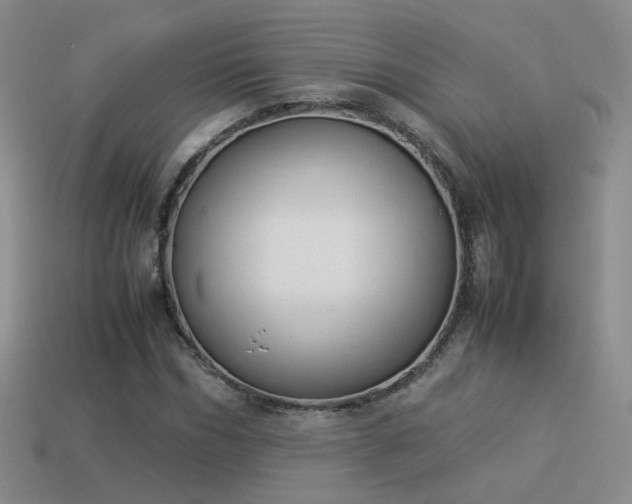 X0000114150970200910151541