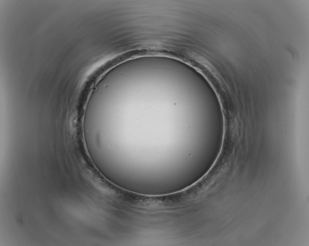 X0000114150971200910151541