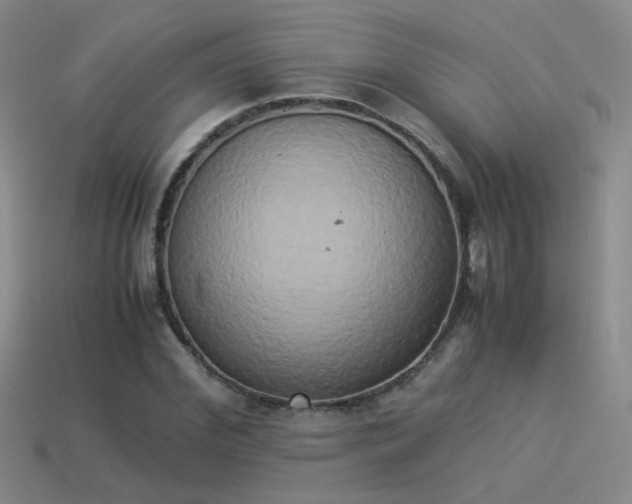 X0000114150972200910151541
