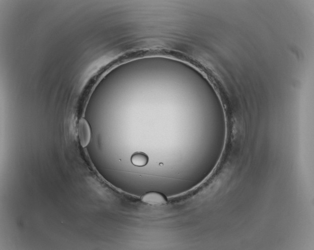 X0000114150973200910151541