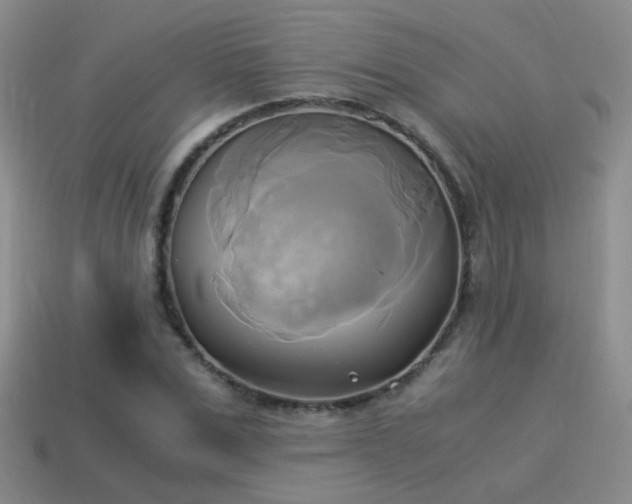 X0000114150975200910151541