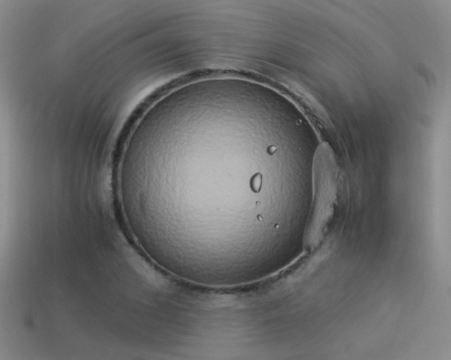 X0000114150976200910151541