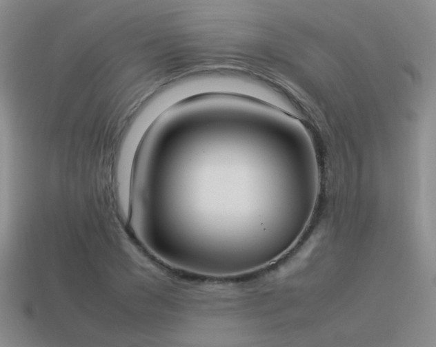 X0000114150977200910151541