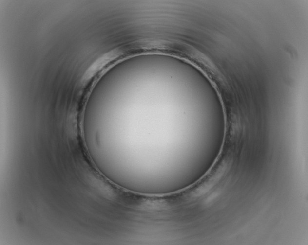X0000114150978200910151541