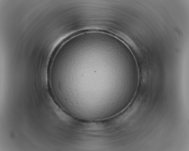 X0000114150980200910151541