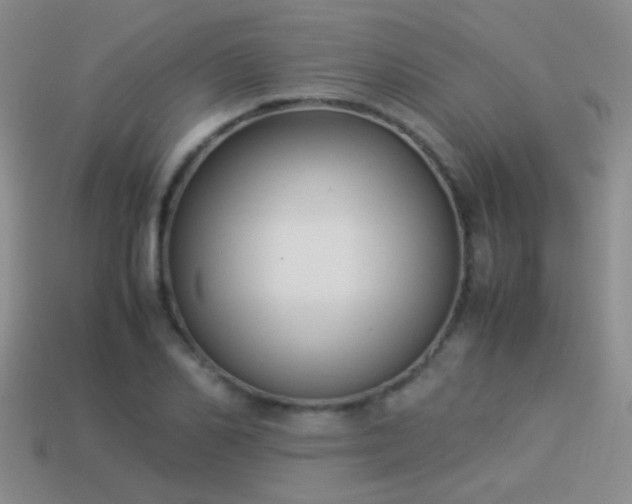 X0000114150982200910151540