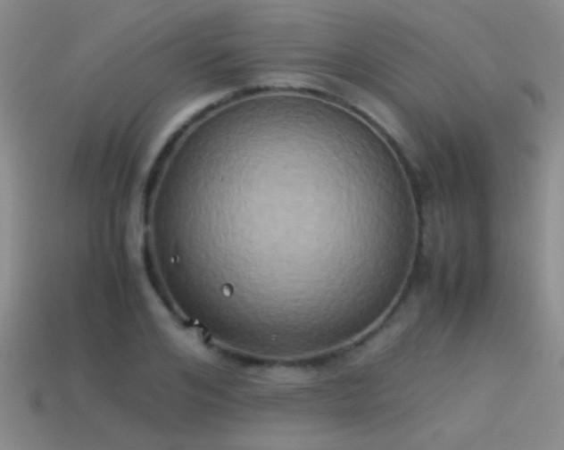 X0000114150984200910151540