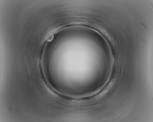 X0000114150985200910151540