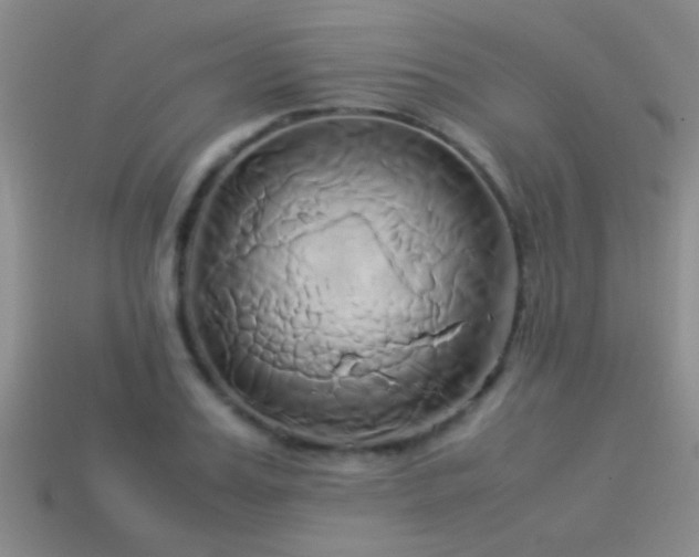 X0000114150987200910151540