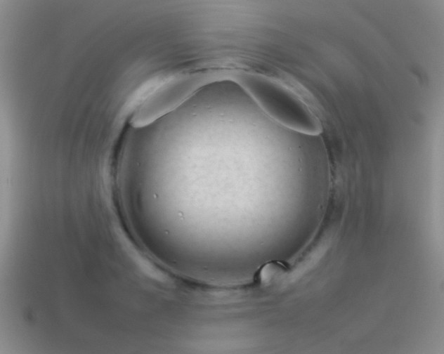 X0000114150989200910151540