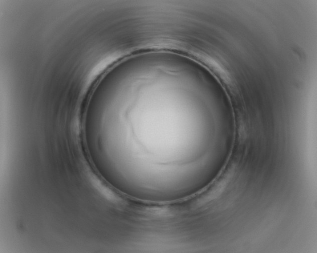 X0000114150990200910151540