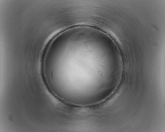 X0000114150991200910151540