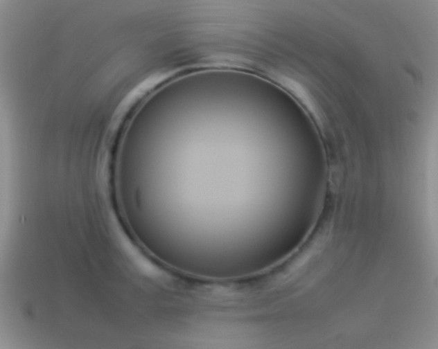 X0000114150995200910151540