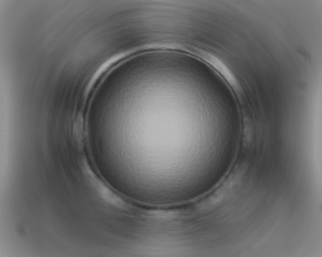 X0000114150996200910151540