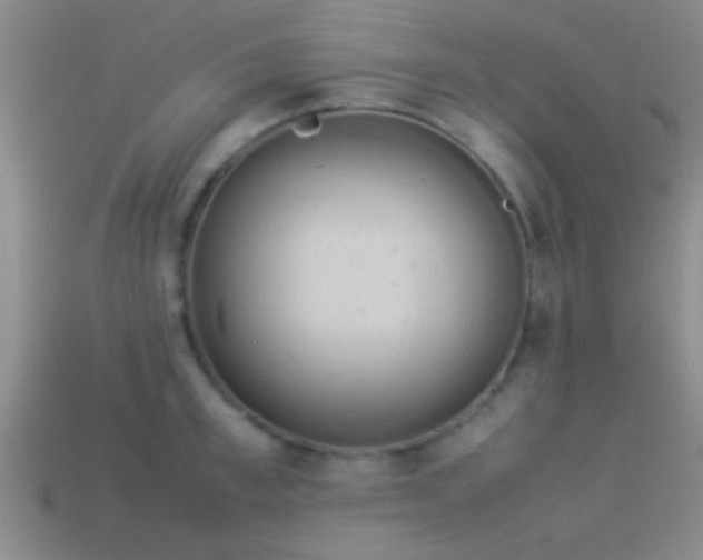 X0000114150997200910151540