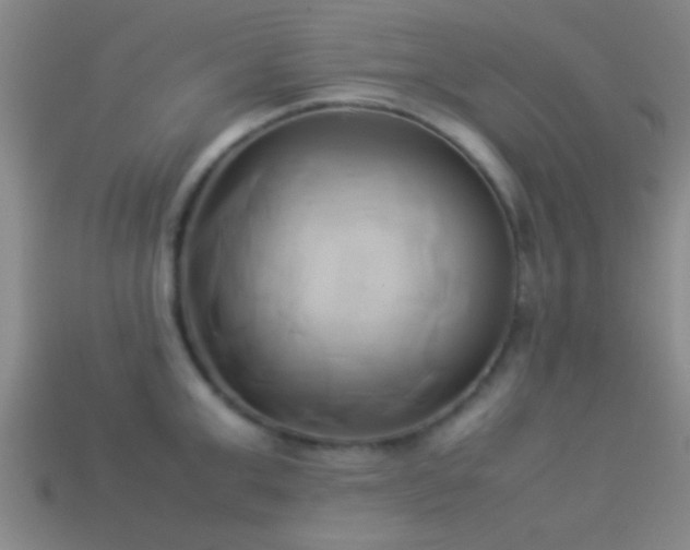 X0000114150999200910151540