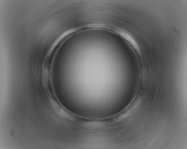 X0000114151000200910151540