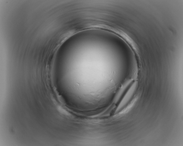 X0000114151001200910151540