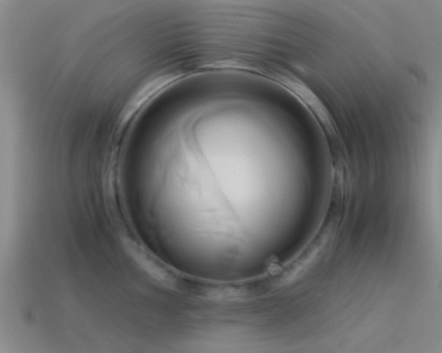 X0000114151002200910151540