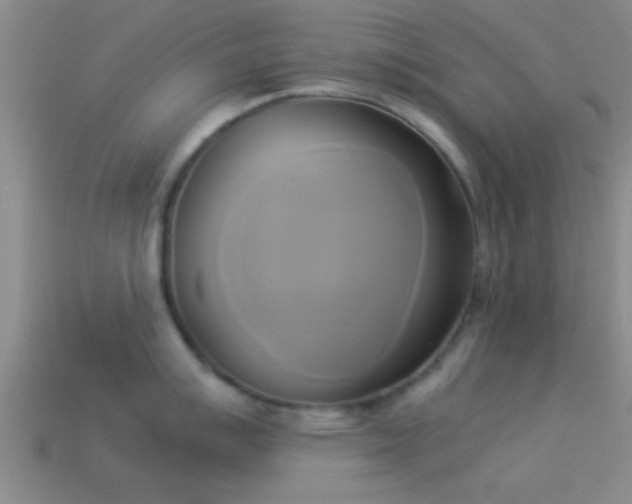 X0000114151007200910151540