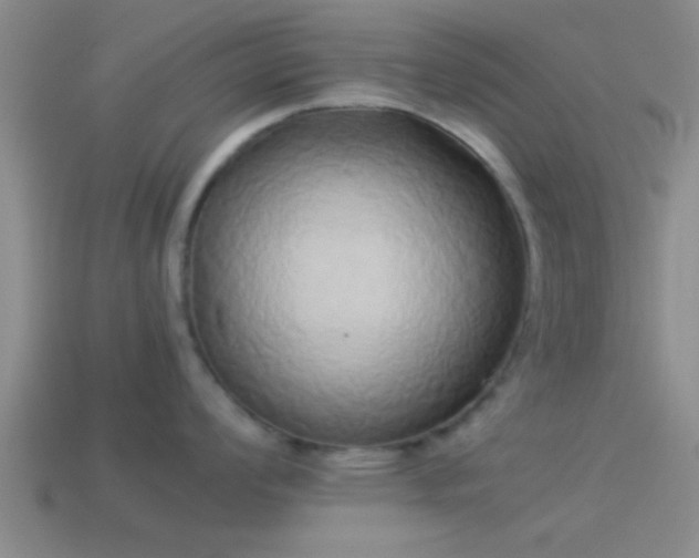 X0000114151008200910151540