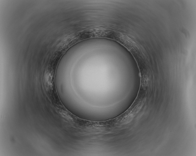 X0000114151010200910151539