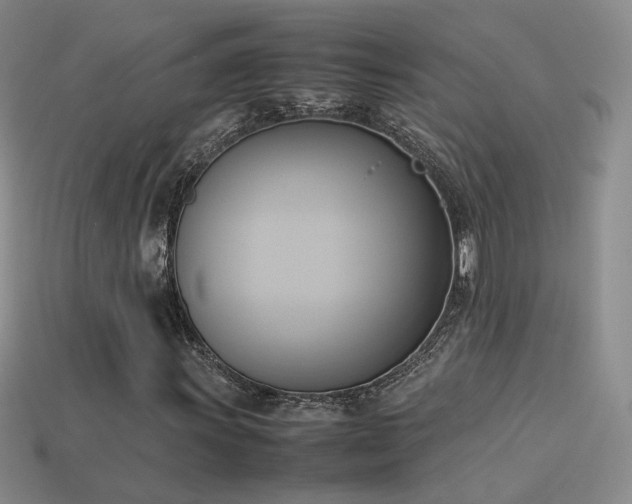 X0000114151011200910151539