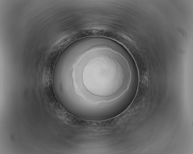 X0000114151014200910151539