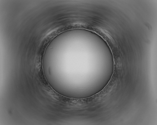 X0000114151015200910151539