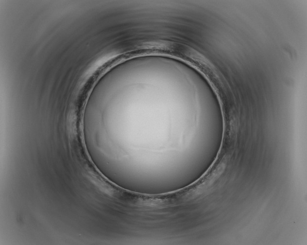 X0000114151019200910151539