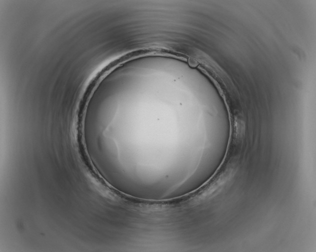 X0000114151020200910151540