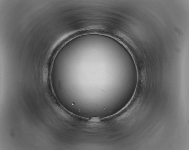 X0000114151021200910151540