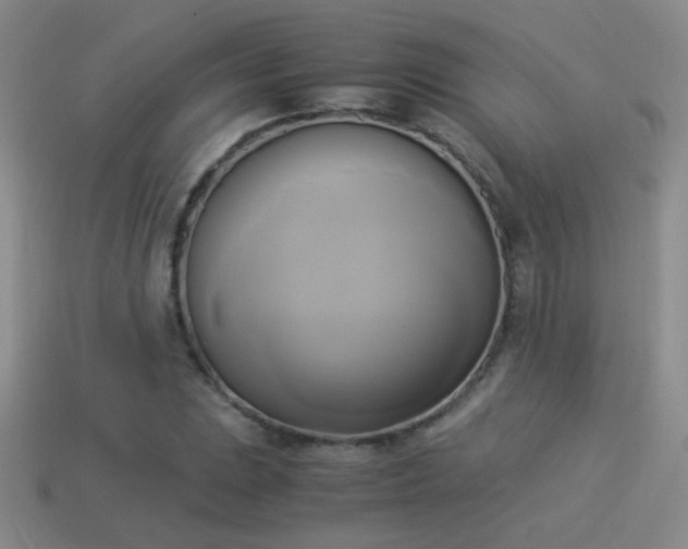 X0000114151023200910151540