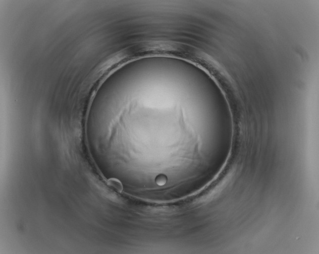X0000114151025200910151540