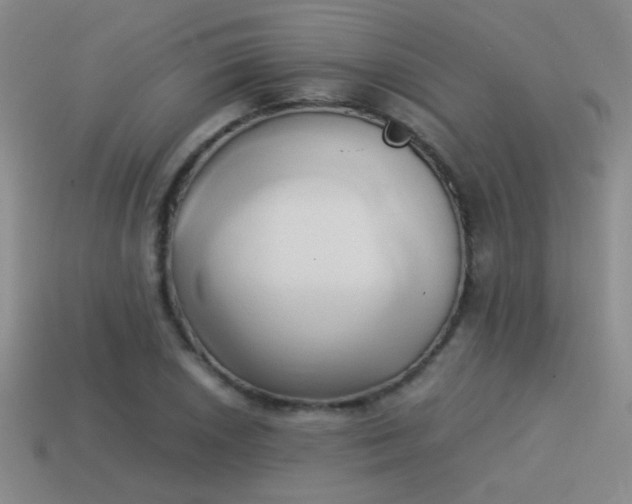 X0000114151026200910151540