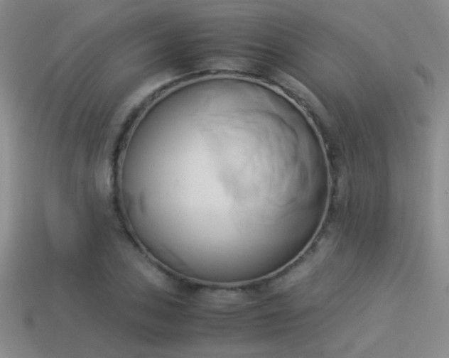 X0000114151027200910151540