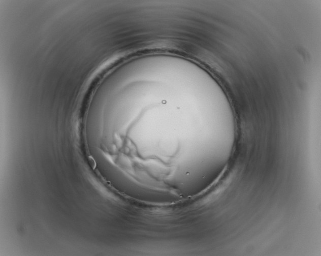 X0000114151029200910151540