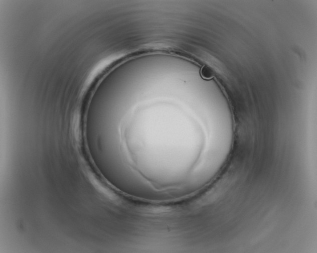 X0000114151030200910151540