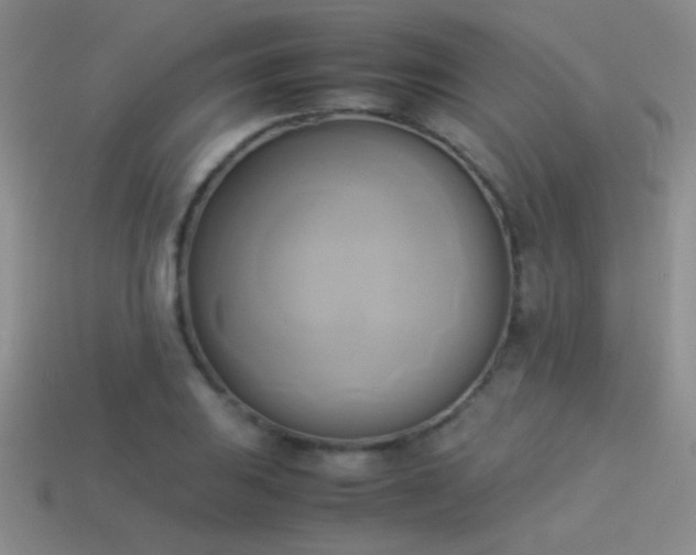 X0000114151031200910151540