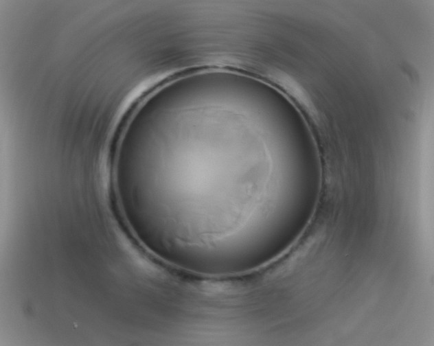 X0000114151032200910151540