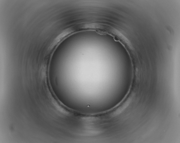 X0000114151033200910151540