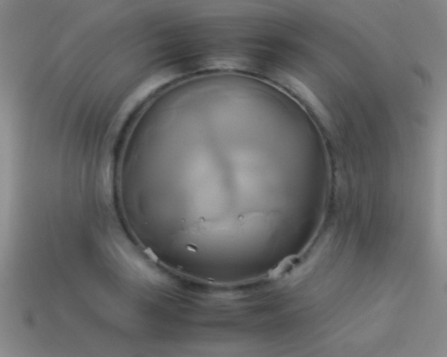 X0000114151035200910151540