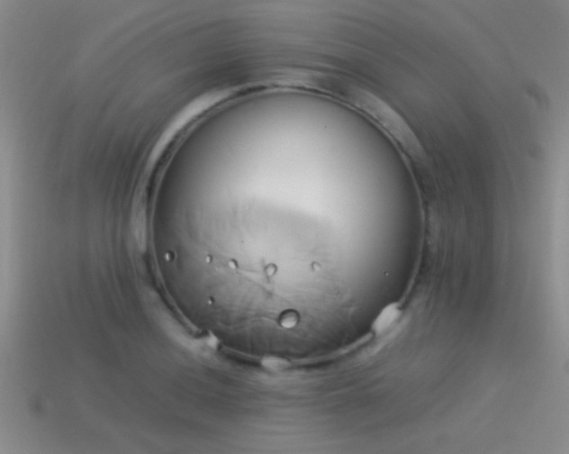 X0000114151036200910151540