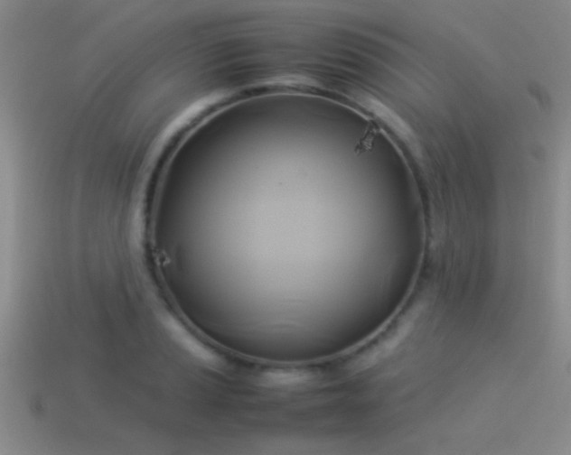 X0000114151037200910151540
