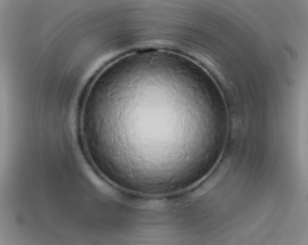X0000114151038200910151540