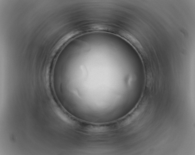 X0000114151039200910151540