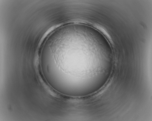 X0000114151040200910151540