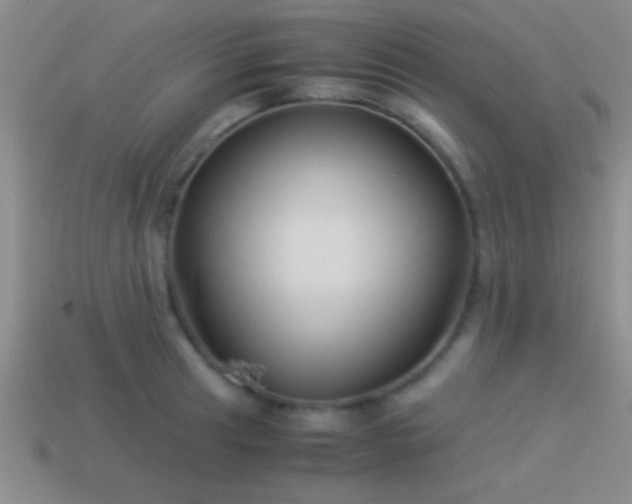 X0000114151041200910151540