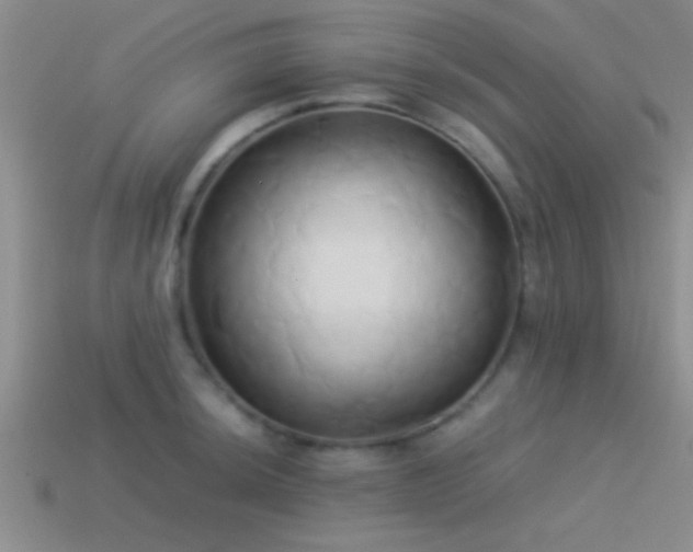 X0000114151044200910151540